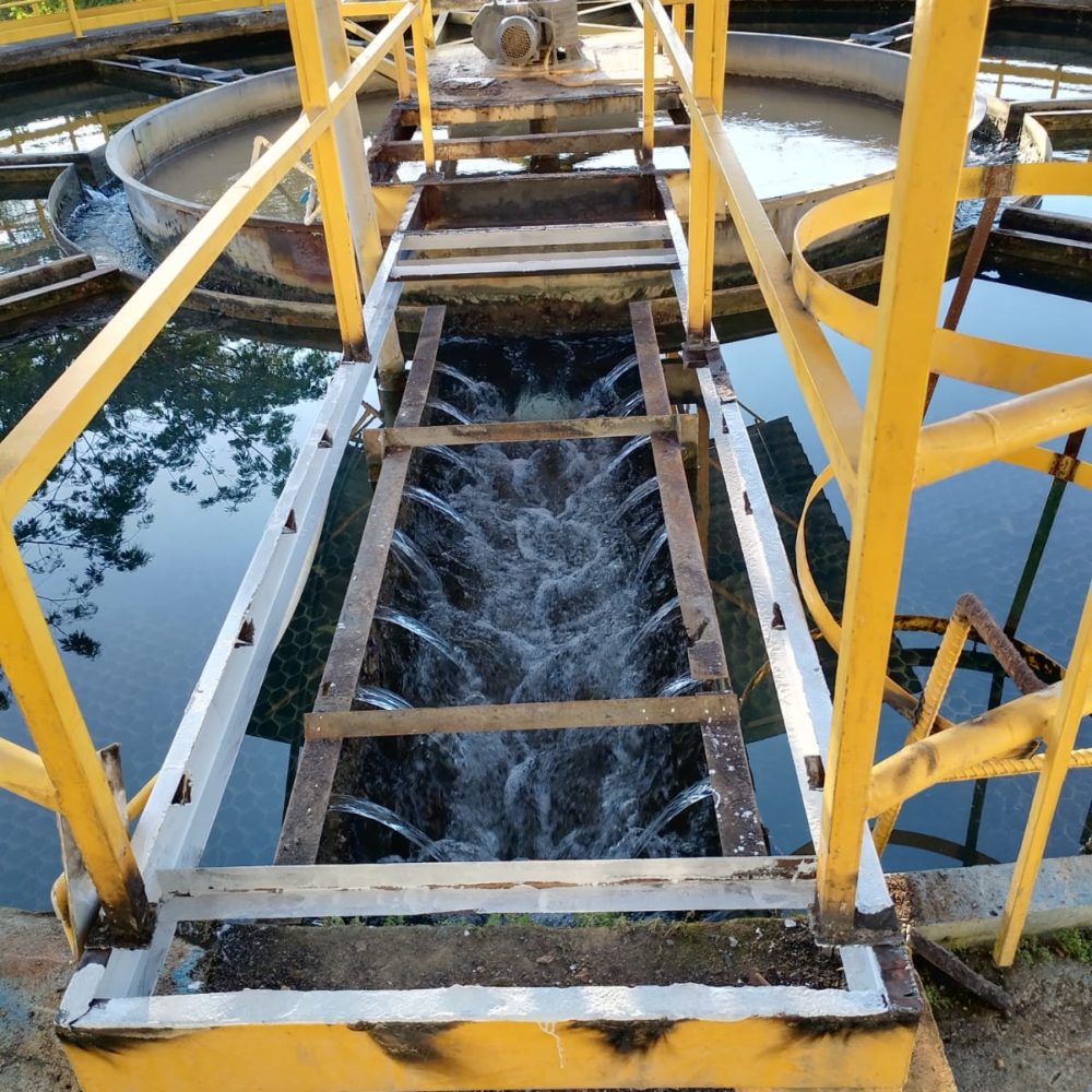 WhatsApp Image 2022-11-23 at 5.15.44 PM